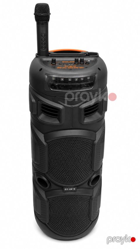 GY-8819 Bluetooth karaoke mikrofonlu portativ speaker — Bakı