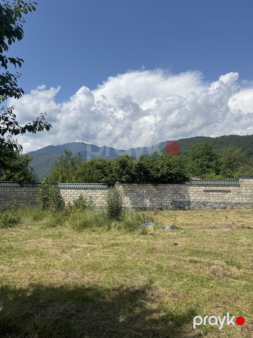 12 sot torpaq sahəsi, Vəndam qəs — Torpaq, Qəbələ (2)