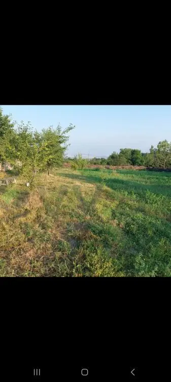 12 sot Torpaq Satılır, Oğuz — Torpaq, Oğuz (4)