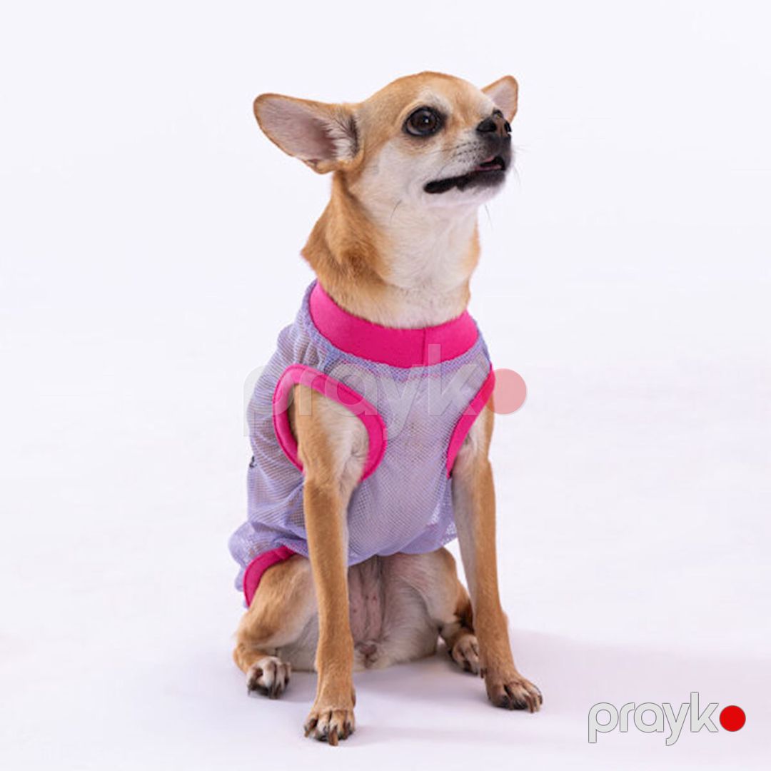 Futbolka Pawstar Rocks Mesh itlər və pişiklər üçün, 2XL, çəhrayı — Mallar, Bakı (2)