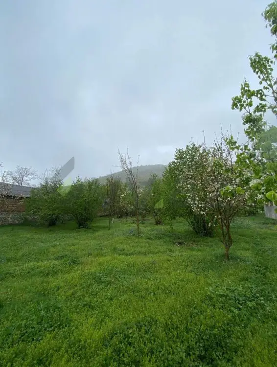 7 sot Torpaq Satılır, Qəbələ — Torpaq, Qəbələ (10)