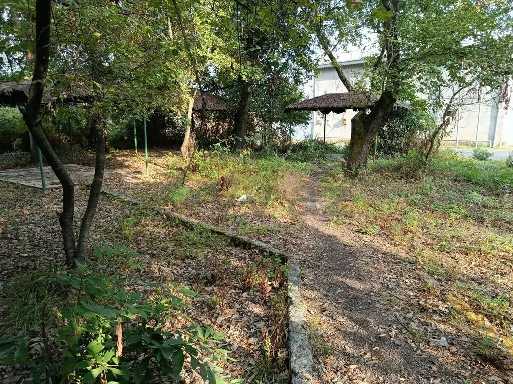 67 sot Torpaq Satılır, Lənkəran — Torpaq, Lənkəran (7)