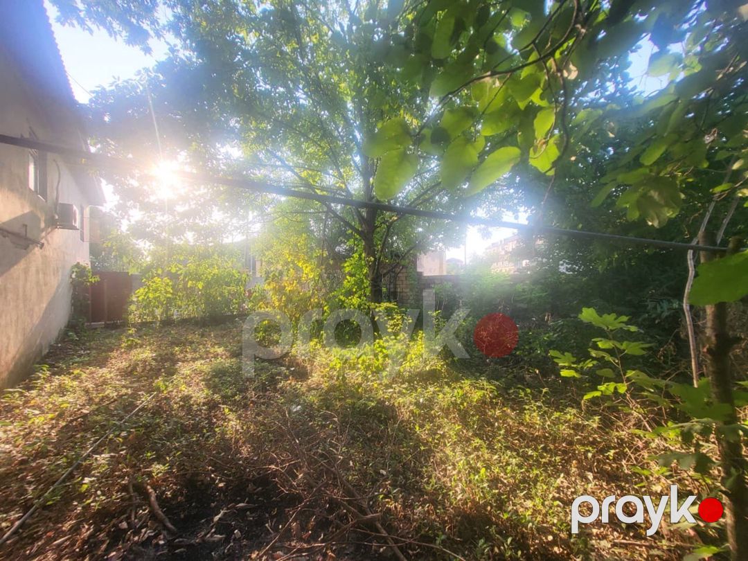 Satılır 6 otaqlı həyət evi/bağ evi 200 m² — Ev, villa, Masallı (8)