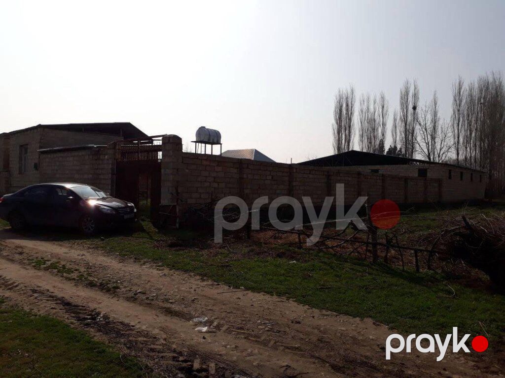 Bağ evi, Gence ş — Ev, villa, Gəncə (4)