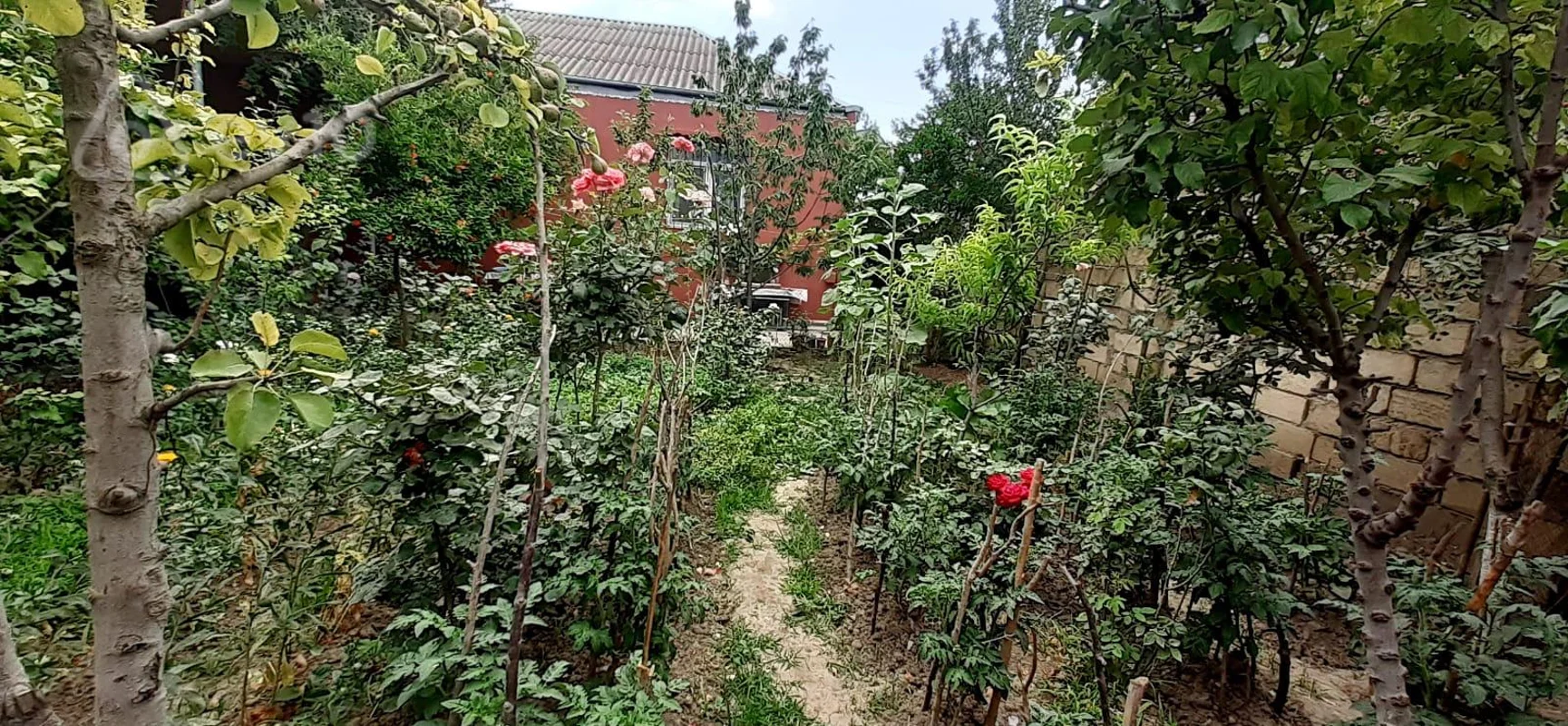 4 otaqlı həyət evi, 120 m², Məmməd Səid Ordubadi küc — Ev, villa, Bakı (10)