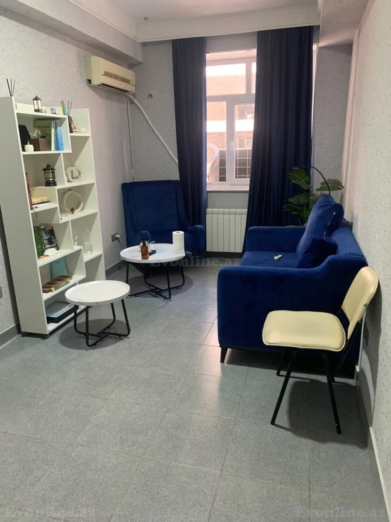 Kirayə verilir Obyekt 250 m² Bakı, Nərimanov r., 8 Noyabr m — Əmlak, Bakı (2)