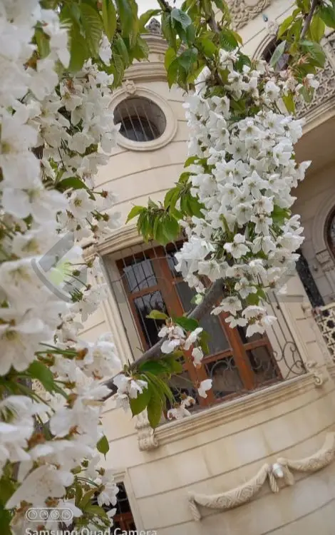 4 otaqlı Həyət evi Kirayə, Yeni Ramana, Sabunçu, Bakı — Ev, villa, Bakı (2)