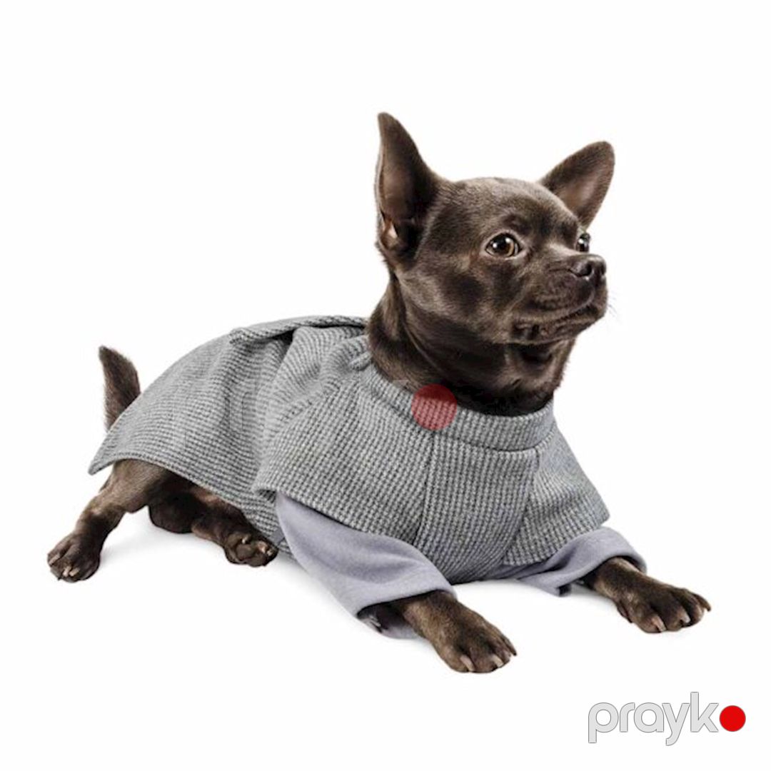 İtlər üçün jaket Pet Fashion Şattl XS — Mallar, Bakı (3)