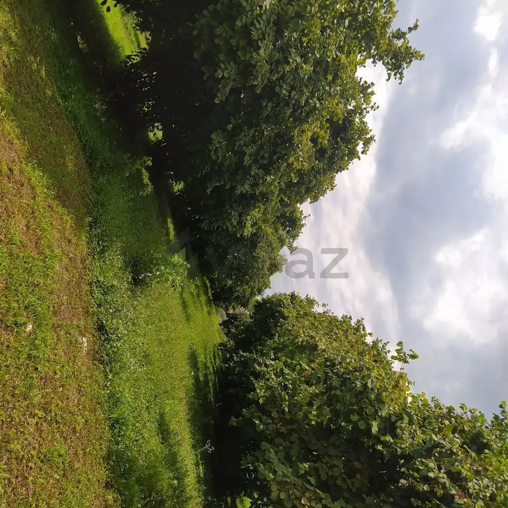 3 otaqlı Həyət evi Satılır, Balakən — Ev, villa, Balakən (9)