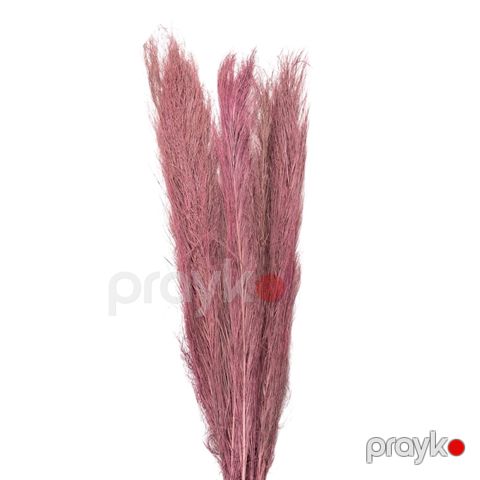 Qurudulmuş çiçəklər Clayre & Eef 5DF0015, 100 sm, qəhvəyi — Bakı