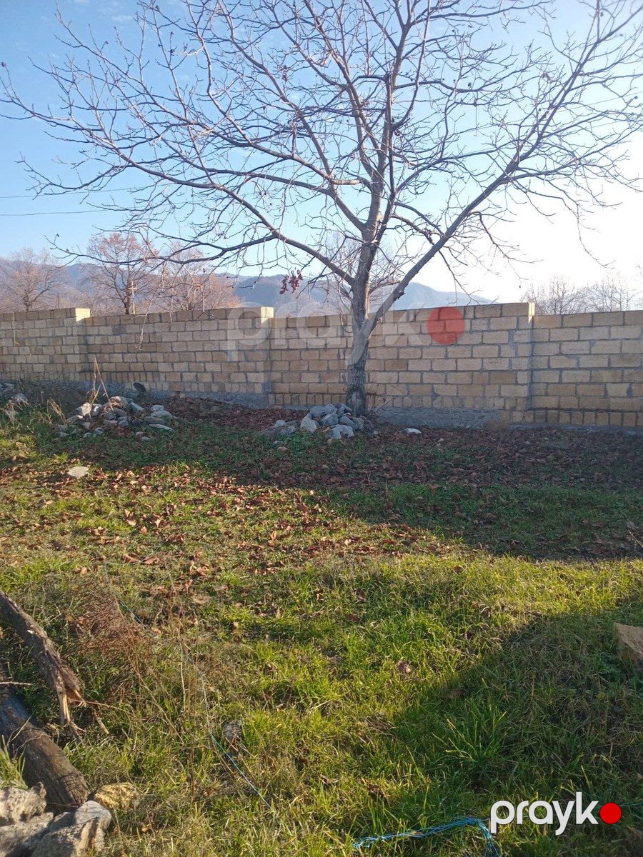 Satılır torpaq 3 sot — Torpaq, Qəbələ (5)