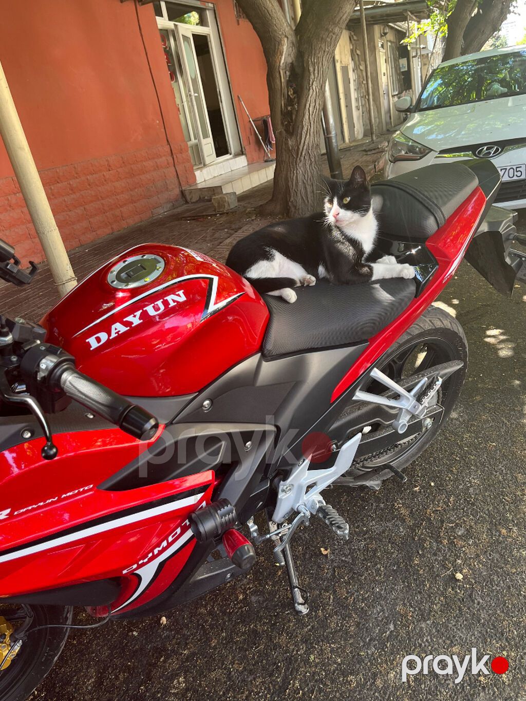 Dayun 250 sm3 — Motosikletlər, Bakı (2)
