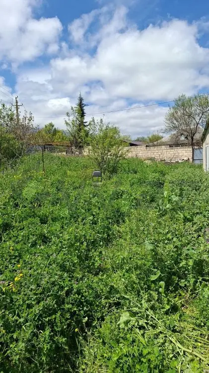 10 sot Torpaq Satılır, Şabran — Şabran