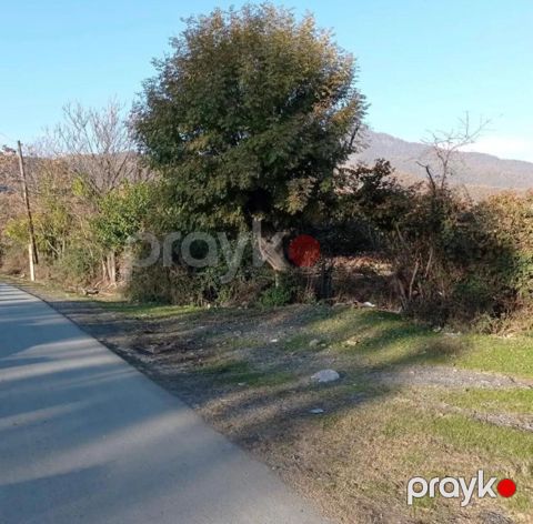 54 sot torpaq sahəsi, Zaqatala ş — Zaqatala