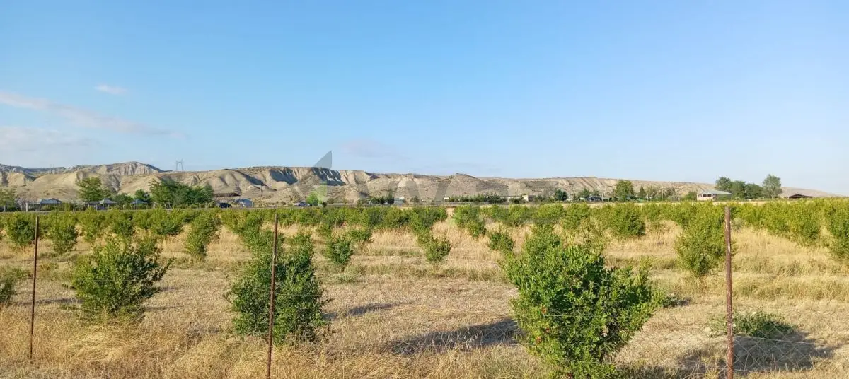 200 sot Torpaq Satılır, Göyçay — Göyçay