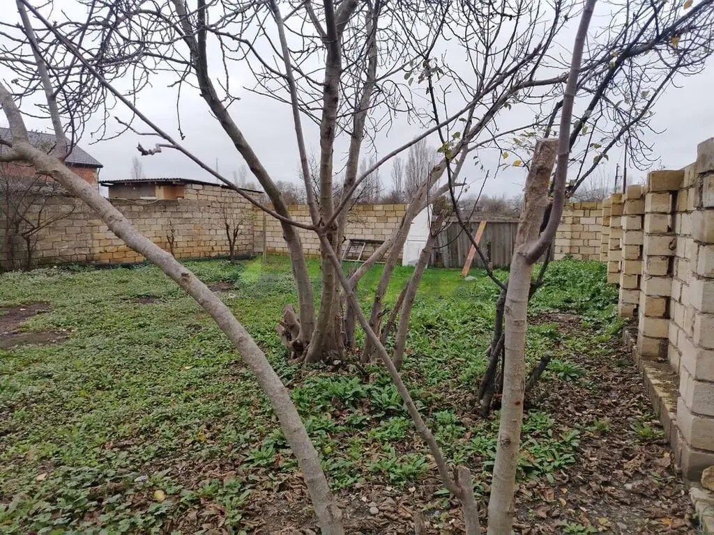 4 otaqlı Yarım tikili Satılır, Nabran — Ev, villa (3)