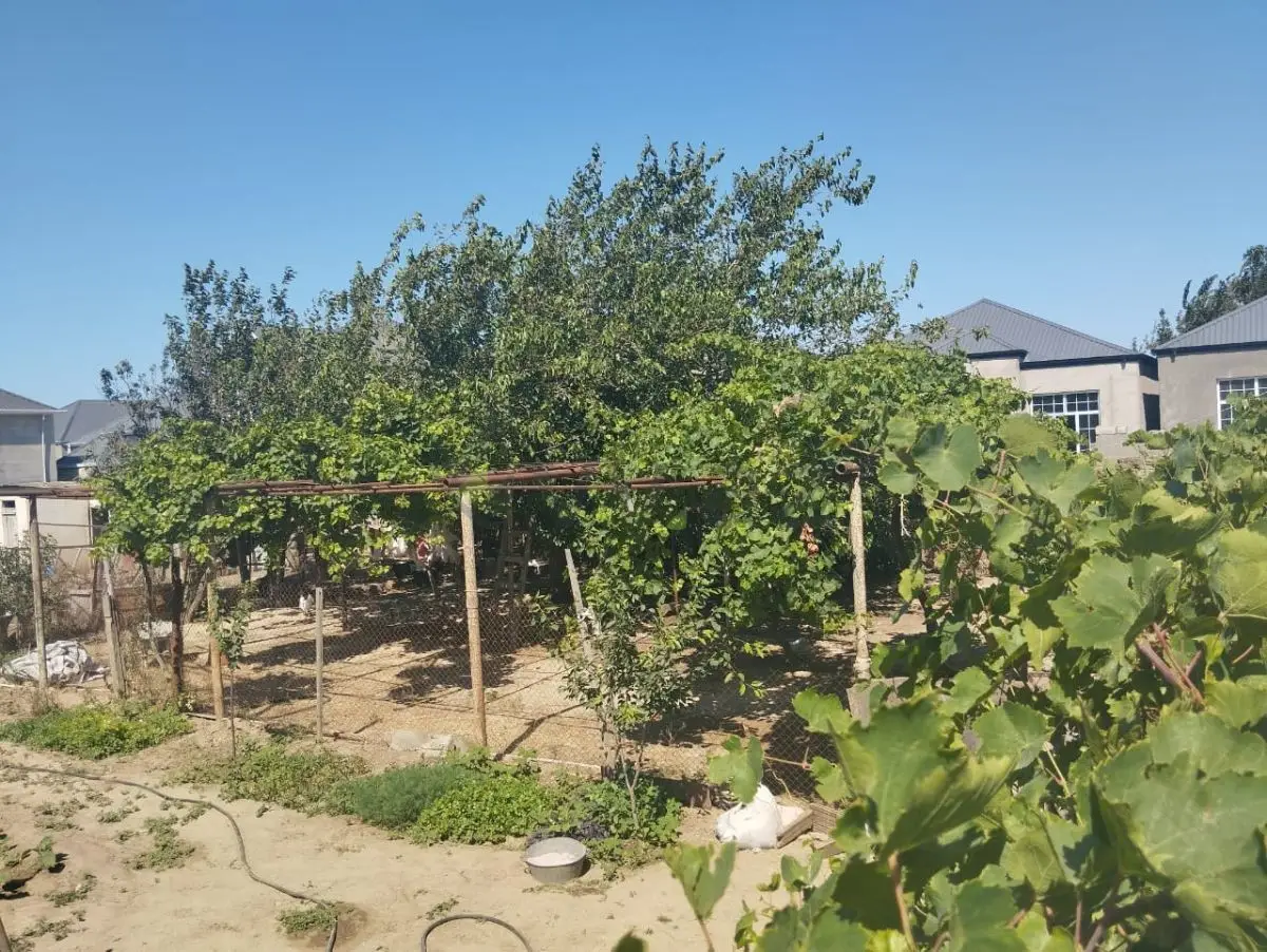 6 sot Torpaq Satılır, Yeni Ramana, Sabunçu, Bakı — Torpaq, Bakı (4)