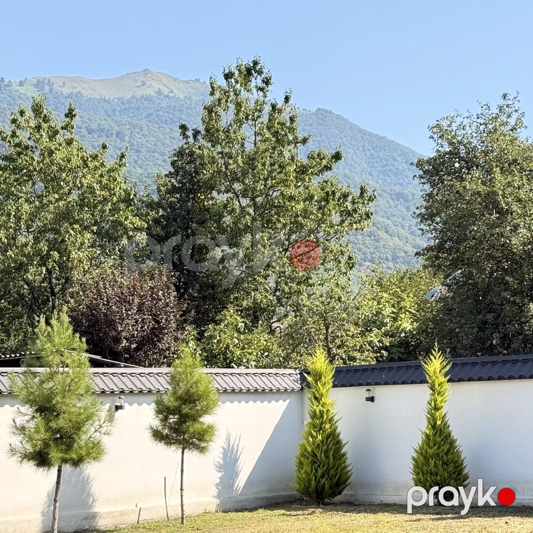 Satılır torpaq 8 sot — Torpaq, Qax (3)