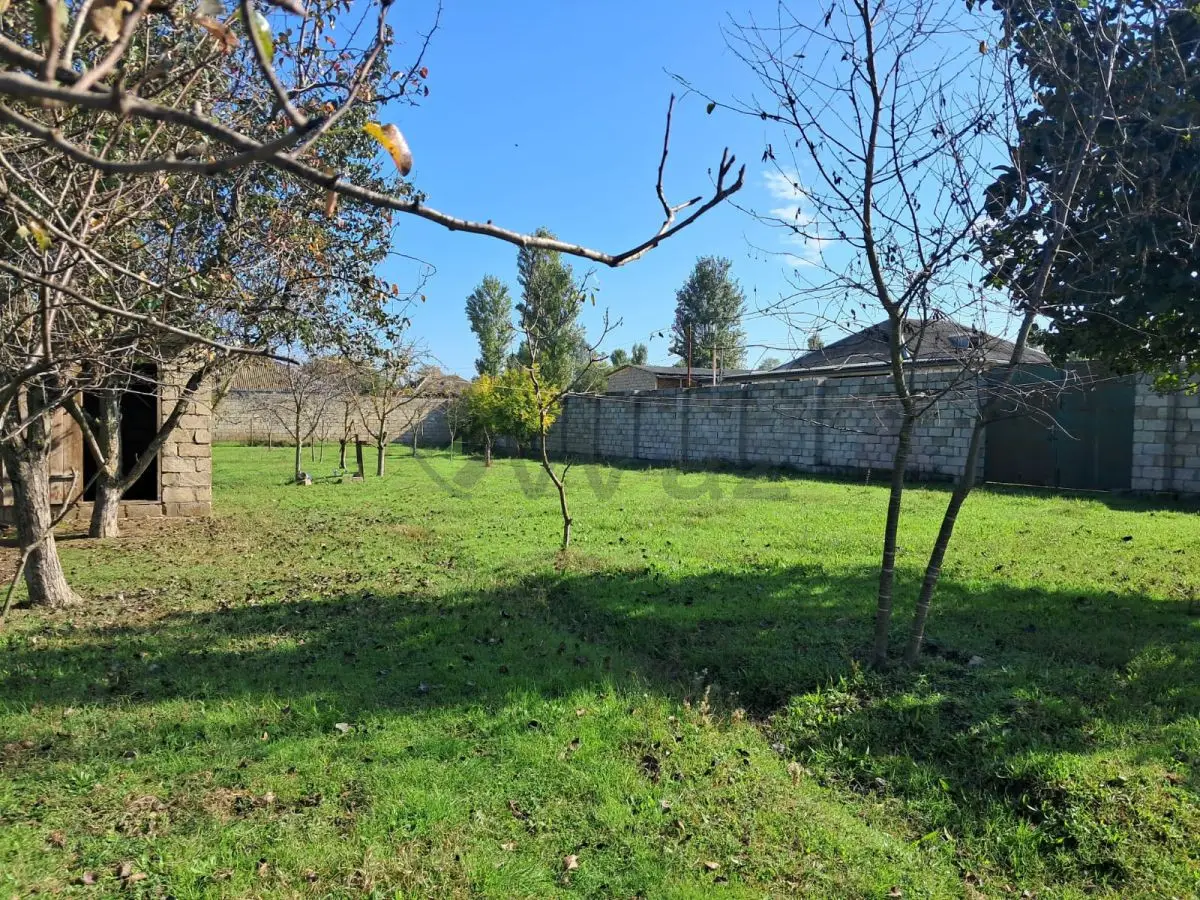 200 sot Torpaq Satılır, Xaçmaz — Torpaq, Xaçmaz (6)