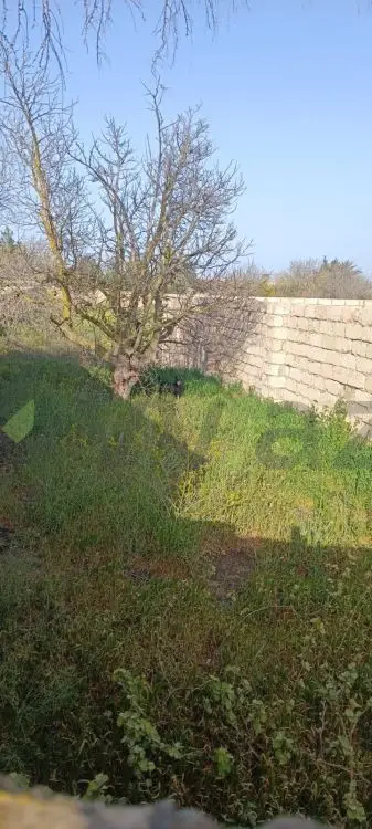 7 sot Torpaq Satılır, Qala, Xəzər, Bakı — Torpaq, Bakı (2)