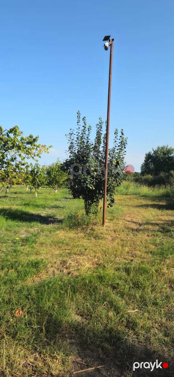 360 sot torpaq sahəsi, Quba r — Torpaq, Bakı (12)