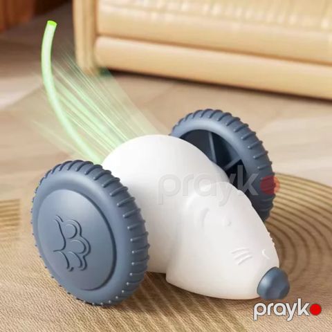 Siçan pişiklər və itlər üçün, boz/ağ, plastik — Bakı