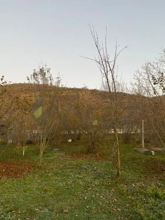 7 sot Torpaq Satılır, Qəbələ — Torpaq, Qəbələ (5)