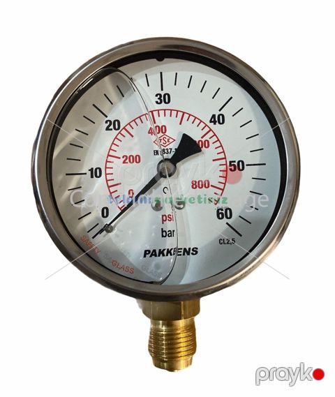 Manometr gliserin dolğulu (0-60 Bar 100 mm 1/2") Pakkens 1001001111 — Bakı