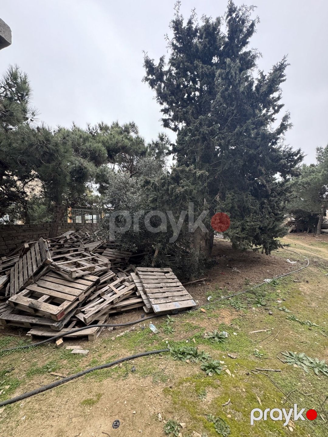 Satılır torpaq 25 sot — Torpaq, Bakı (6)