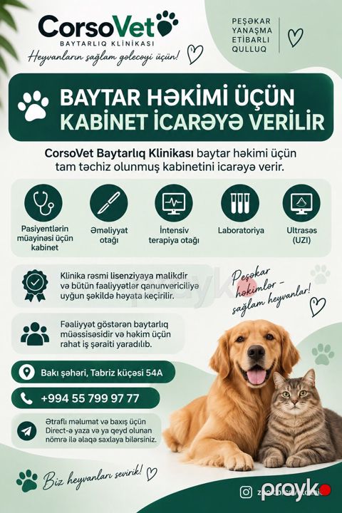 Baytar həkimi üçün kabinet icarəyə verilir CorsoVet Baytarlıq — Bakı