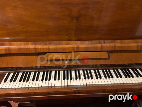 piano-belarus-akustik-islenmis-unvandan-goturme-2606157 — Bakı