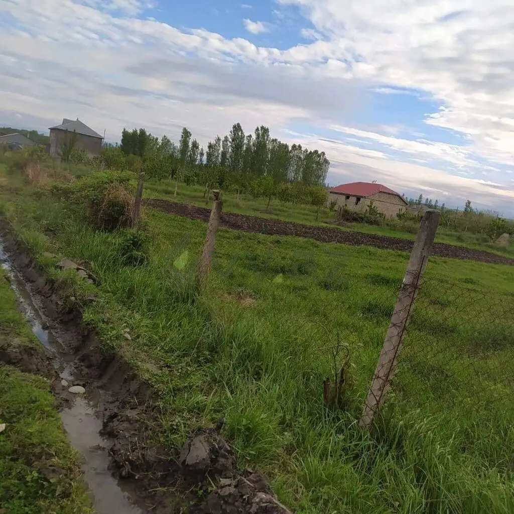12 sot Torpaq Satılır, Qusar — Torpaq, Qusar (4)