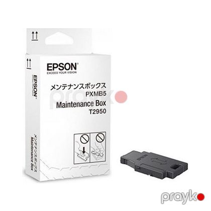 WorkForce WF-100W Maintenance Box(C13T295000) — Bakı