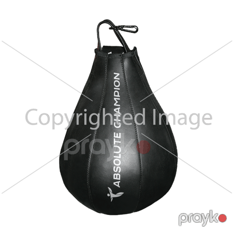 Boks kisəsi Absolute Champion 4 kg — Bakı