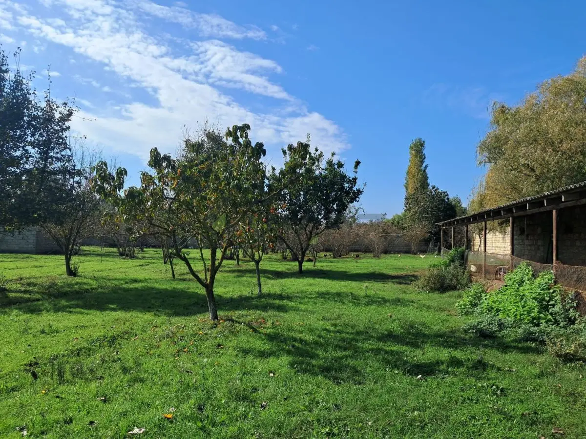 200 sot Torpaq Satılır, Xaçmaz — Torpaq, Xaçmaz (3)