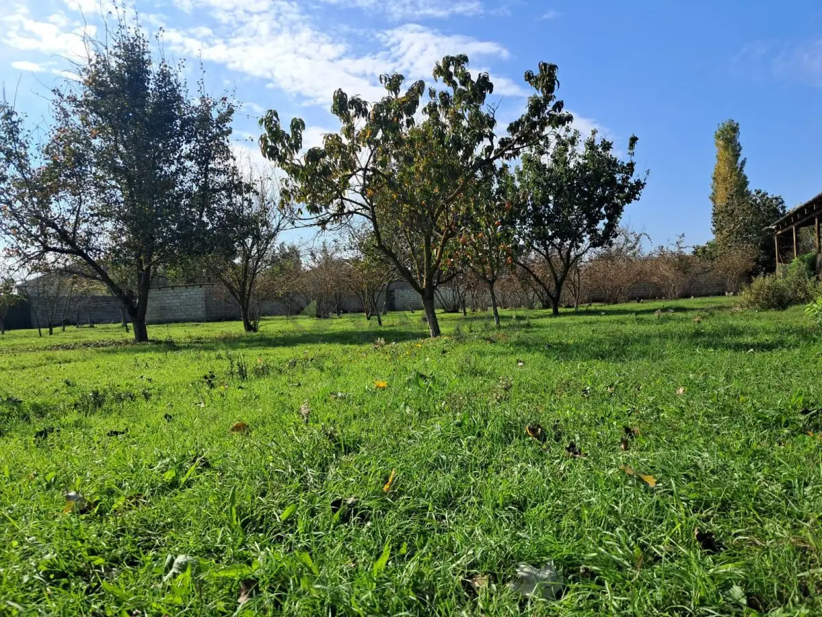 200 sot Torpaq Satılır, Xaçmaz — Torpaq, Xaçmaz (5)