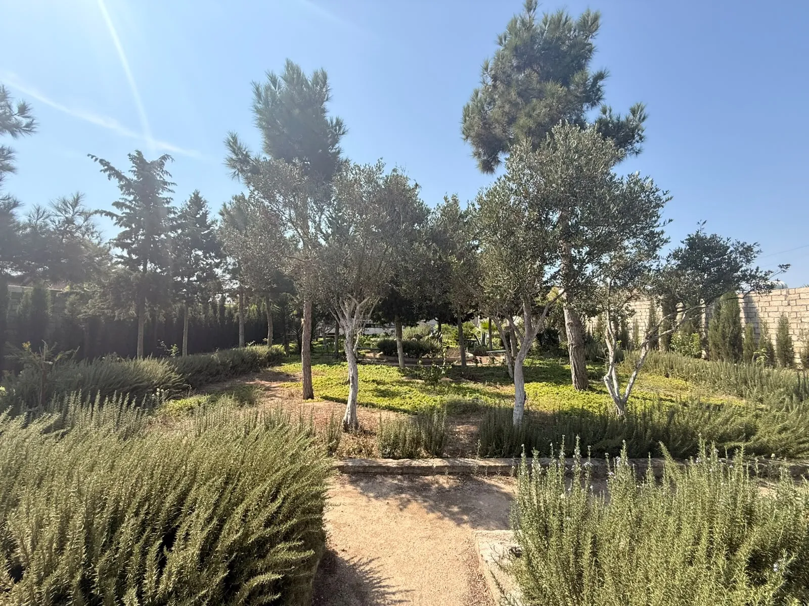 Mərdəkan, Torpaq satılır - 13.2 sot — Torpaq, Bakı (3)