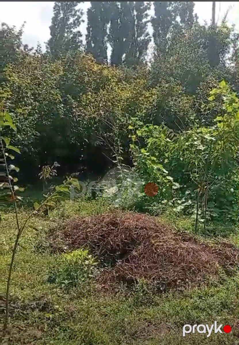 Həyət evi kirayə verilir, Qusar r — Ev, villa, Qusar (3)