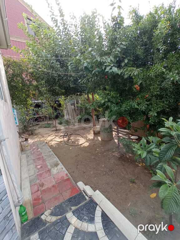 Həyət evi, Saray qəs — Ev, villa, Bakı (6)