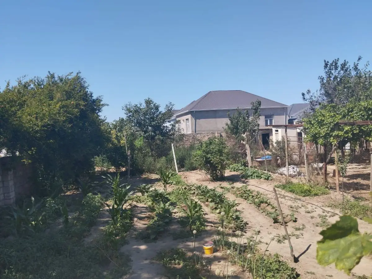 6 sot Torpaq Satılır, Yeni Ramana, Sabunçu, Bakı — Torpaq, Bakı (5)