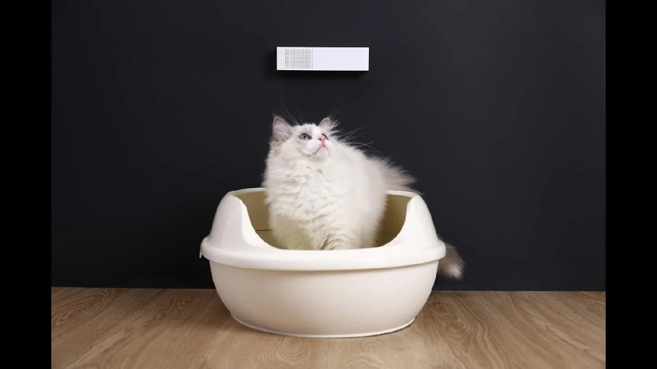 Petkit Pura Air Smart Odor Eliminator Air Purifier — Mallar, Bakı (2)