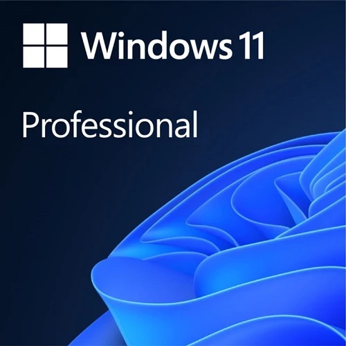 Windows 11 PRO 64Bit Eng International 1pk DSP OEI DVD (FQC-10528) — Games, consoles, and software