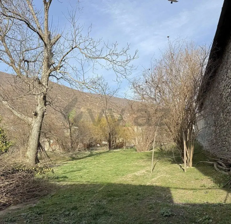 8 sot Torpaq Satılır, Şəki — Şəki
