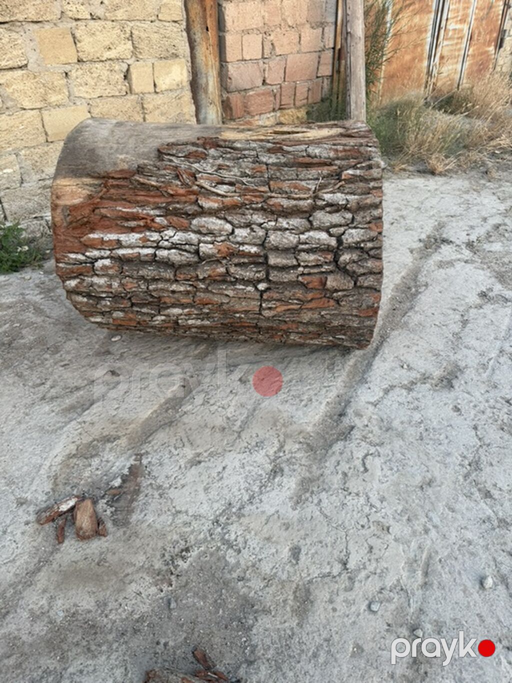 Palıd Ağacından Möhkəm Kötüklər Satılır Palıd ağacıdır, çürüyü — Mangal və aksesuarları, Sumqayıt (5)