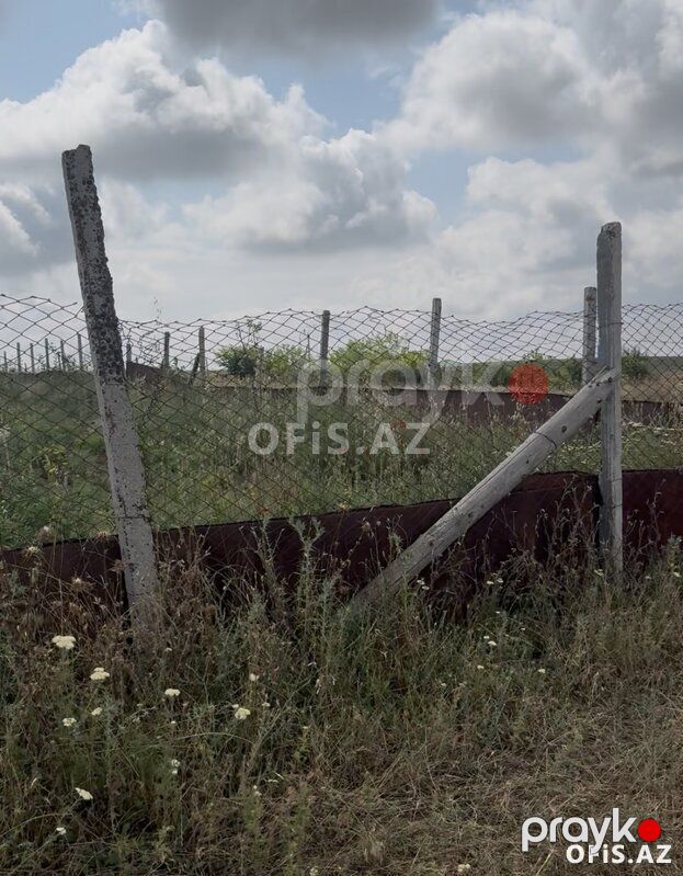 Torpaq Satılır Şamaxı, Şamaxıda kupçalı torpaq, 12 sot — Torpaq, Şamaxı (5)