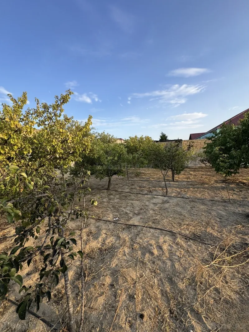 Satılır Torpaq 2.5 sot Bakı, Abşeron r., Novxanı — Torpaq, Bakı (4)