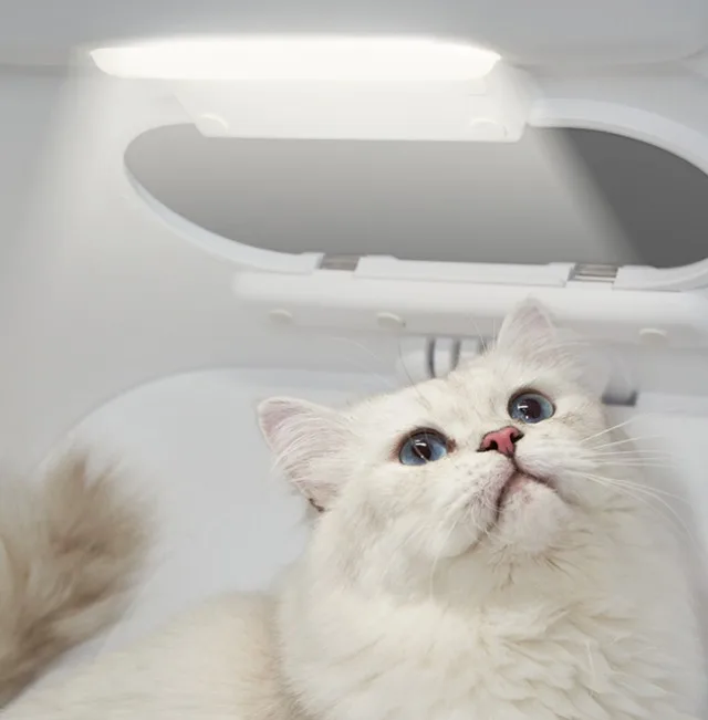 Petkit Airsalon Max Pro — Mallar, Bakı (5)
