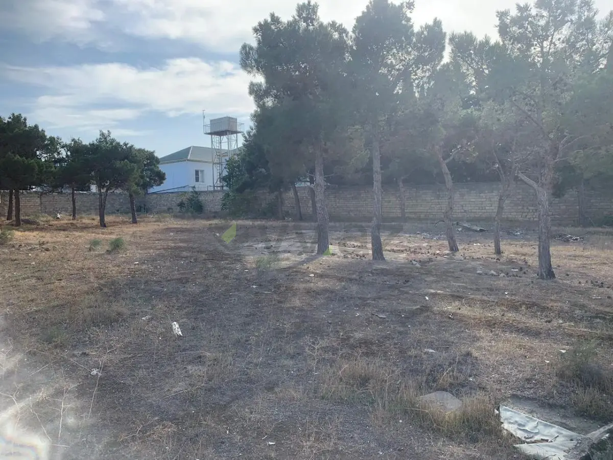 38 sot Torpaq Satılır, Bakıxanov qəs., Sabunçu, Bakı — Torpaq, Bakı (8)