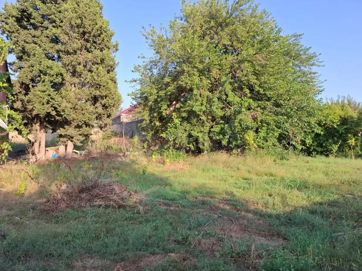 30 sot Torpaq Satılır, Novxanı, Abşeron — Torpaq (3)