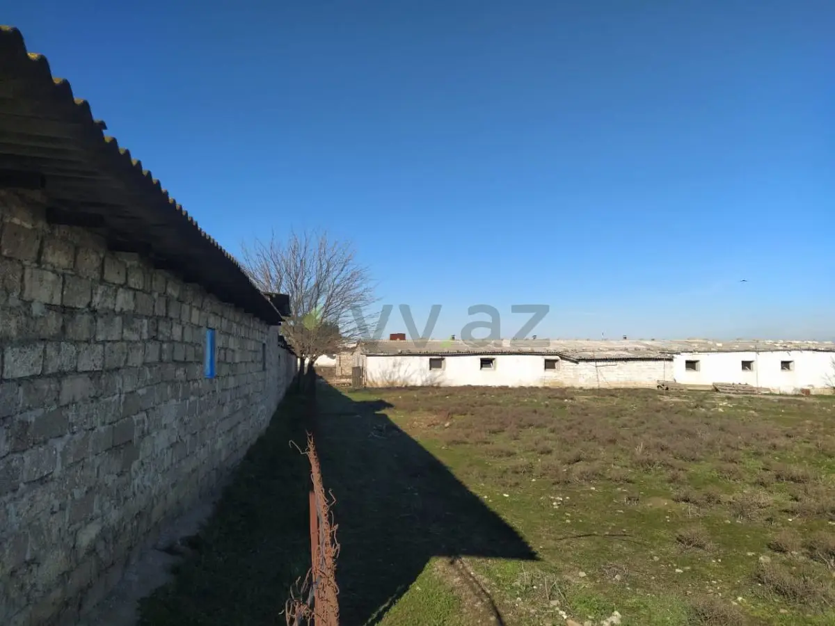 105 sot Torpaq Satılır, Suraxanı qəs., Suraxanı, Bakı — Torpaq, Bakı (11)